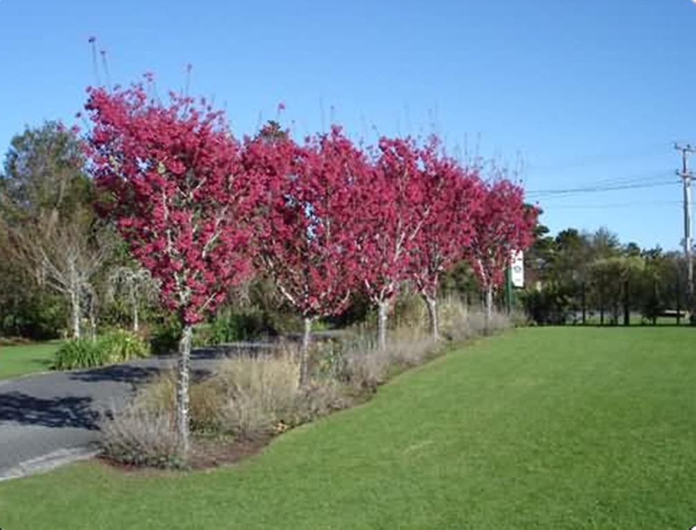 Warkworth Country House Екстериор снимка