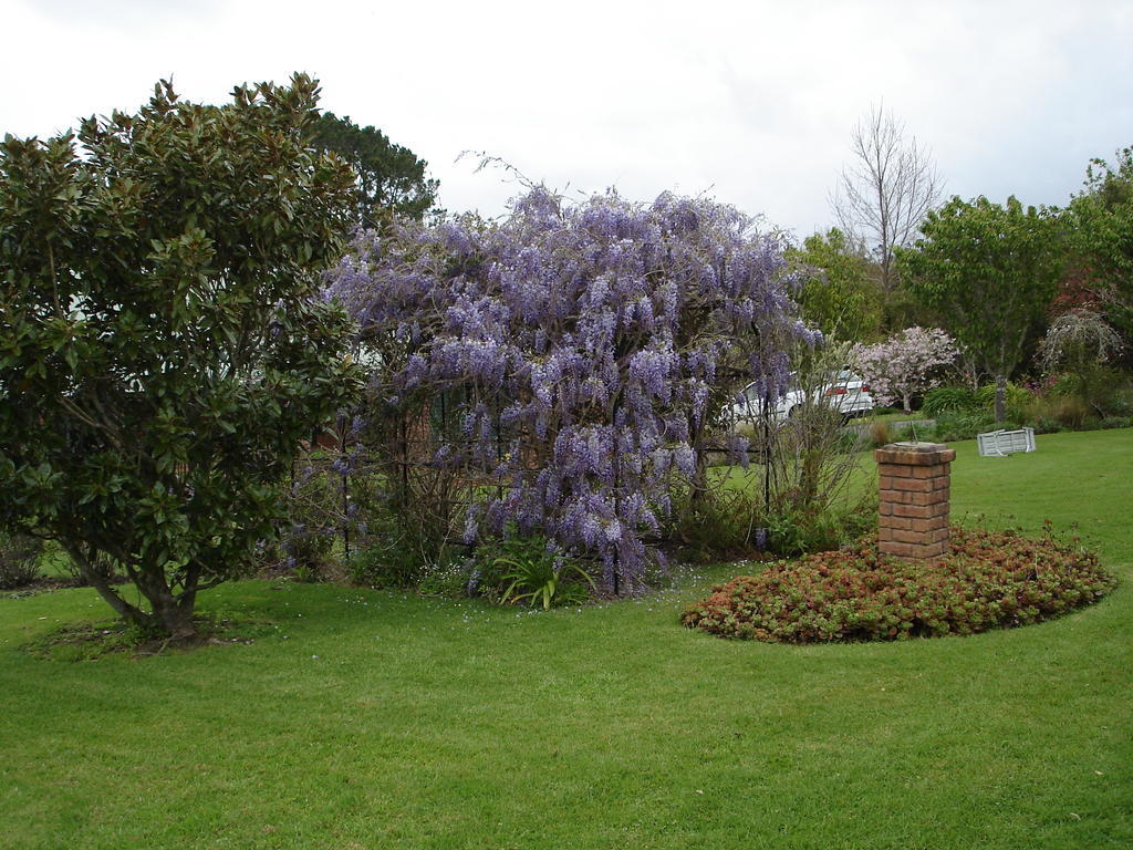 Warkworth Country House Екстериор снимка